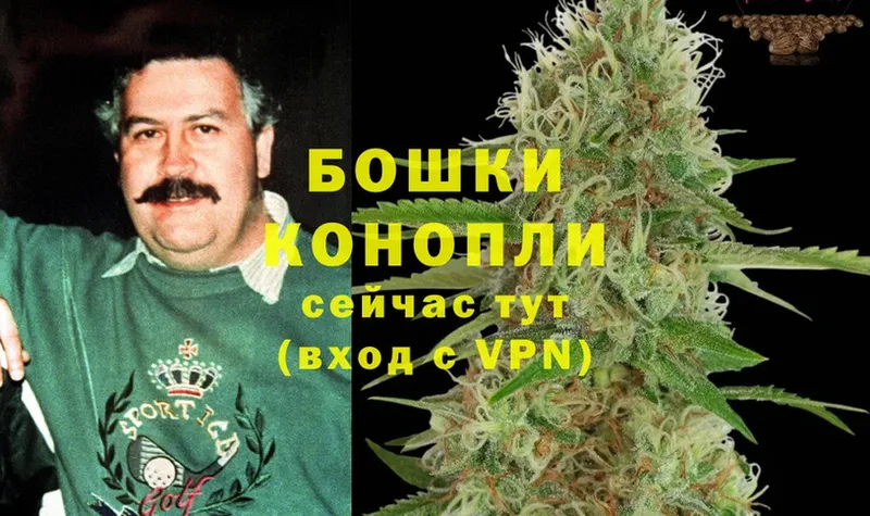 Каннабис THC 21%  Горно-Алтайск 